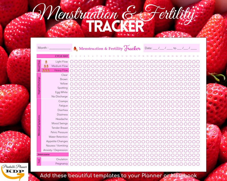 Printable Period and Fertility Tracker Journal Template PDF, Period ...