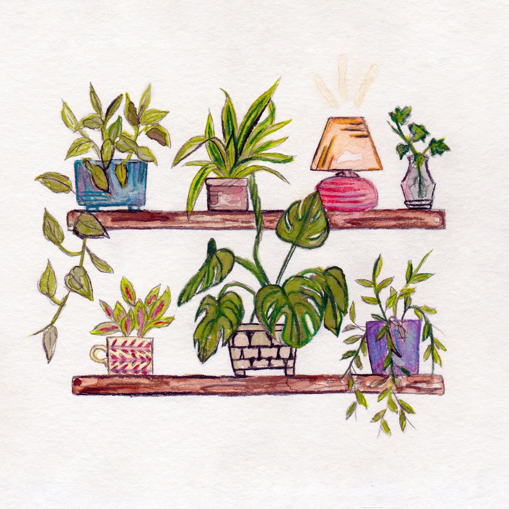 Plant Shelves Digital Drawing 8x8 Print Etsy