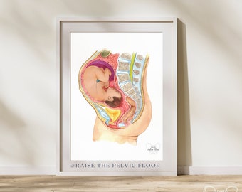 Pregnant Fetus In Womb Art Medical Office Decor | Pelvic Floor, Lumbar spine, Baby, Bladder | Physical Therapist, OBGYN, RN Doula, Midwife