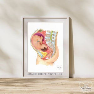 Womb Blanket Etsy