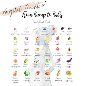 Descarga digital*- Gráfico semanal de crecimiento de frutas de Bump to Baby / Comparación del crecimiento del feto/bebé con la fruta