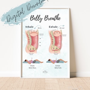 Belly Breathe Pelvic Floor *Descarga digital* / Obra de arte de salud pélvica de la respiración y el núcleo para terapia pélvica, meditación, yoga, pilates