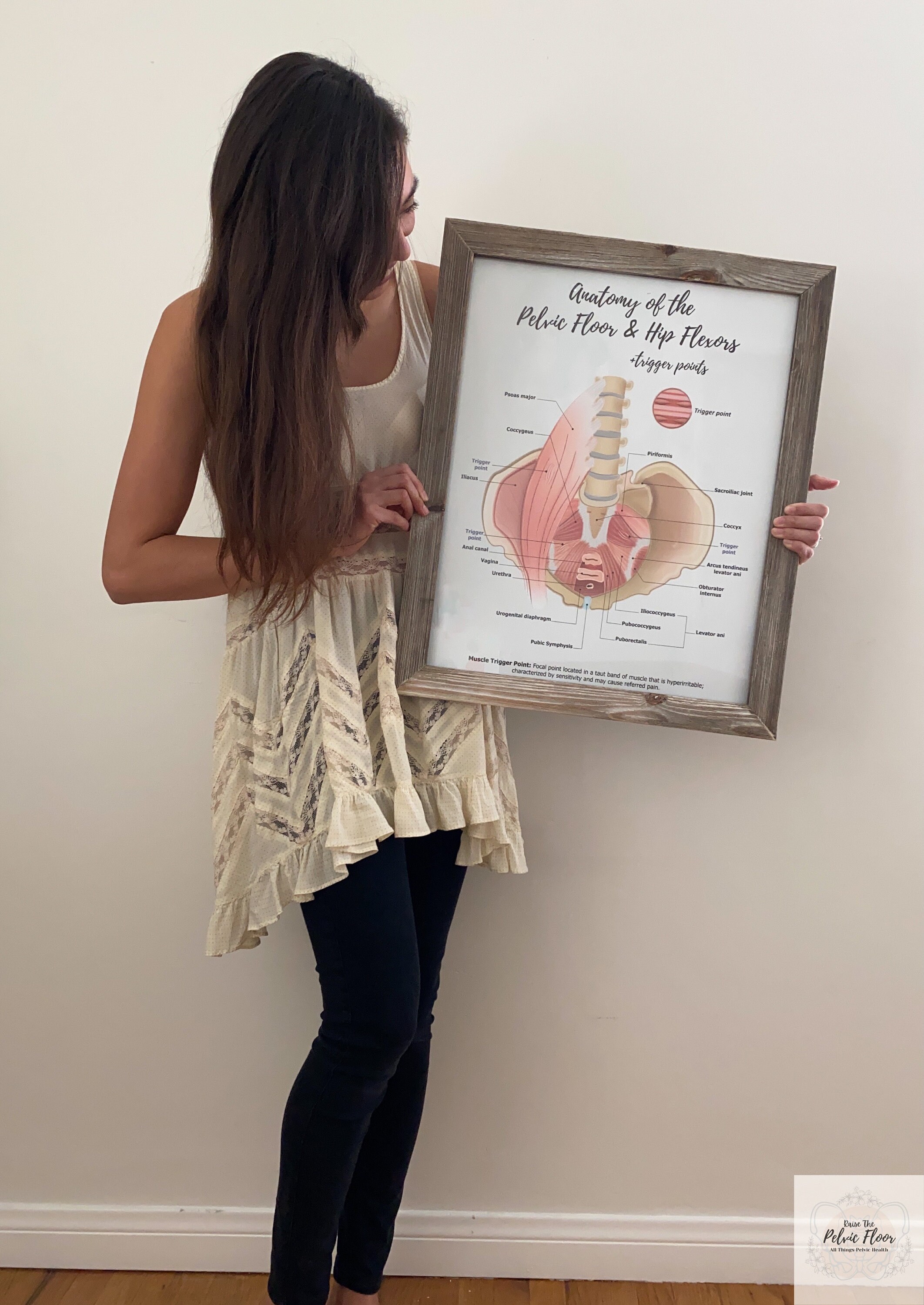 Anatomy of the Pelvic Floor and Hip Flexors + Trigger Points | Poster ...