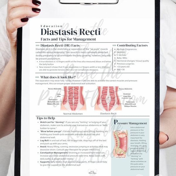 Diastasis Recti Patient Education Handout PDF Digital Download | Postpartum Core Muscles- Pelvic Floor Health Practitioner resource flyer