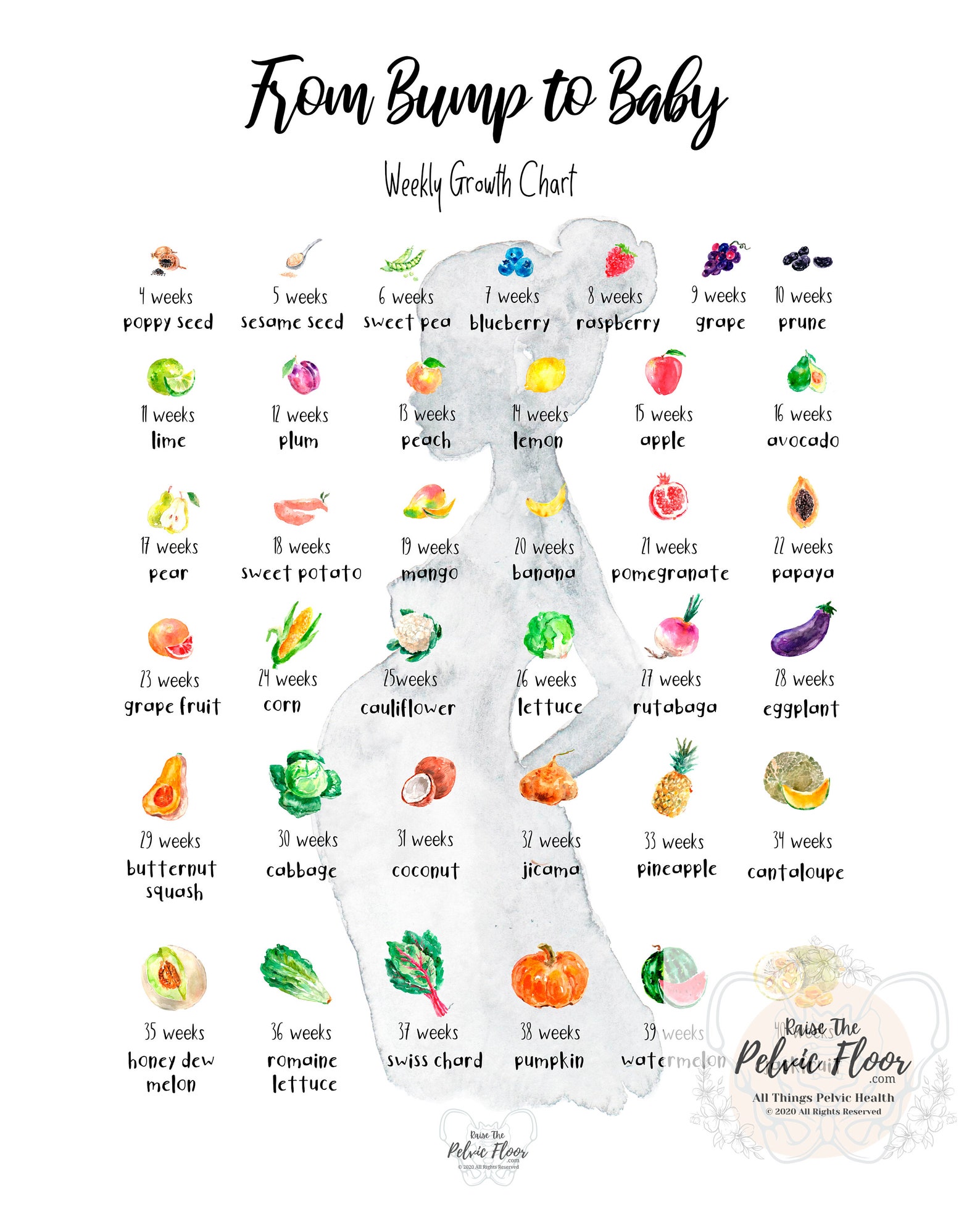 Bump to Baby Pregnancy Art Weekly Fruit Growth Chart Etsy