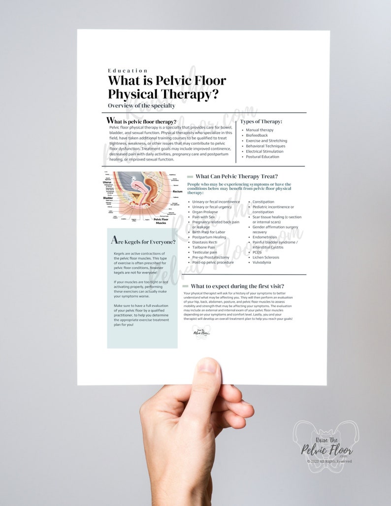 What is Pelvic Floor Physical Therapy Handout DIGITAL Etsy