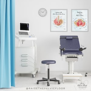 May include: A medical examination room with a blue curtain, a white medical cart with a monitor, a blue examination table with stirrups, a stool, and two anatomical posters on the wall. The posters are titled "Anatomy of the Pelvic Floor and Hip Floors" and "Anatomy of the Pelvic Floor".