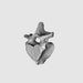 Manatee Vertebrae STL File Manatee Vertebrae 3D Scan 3D - Etsy