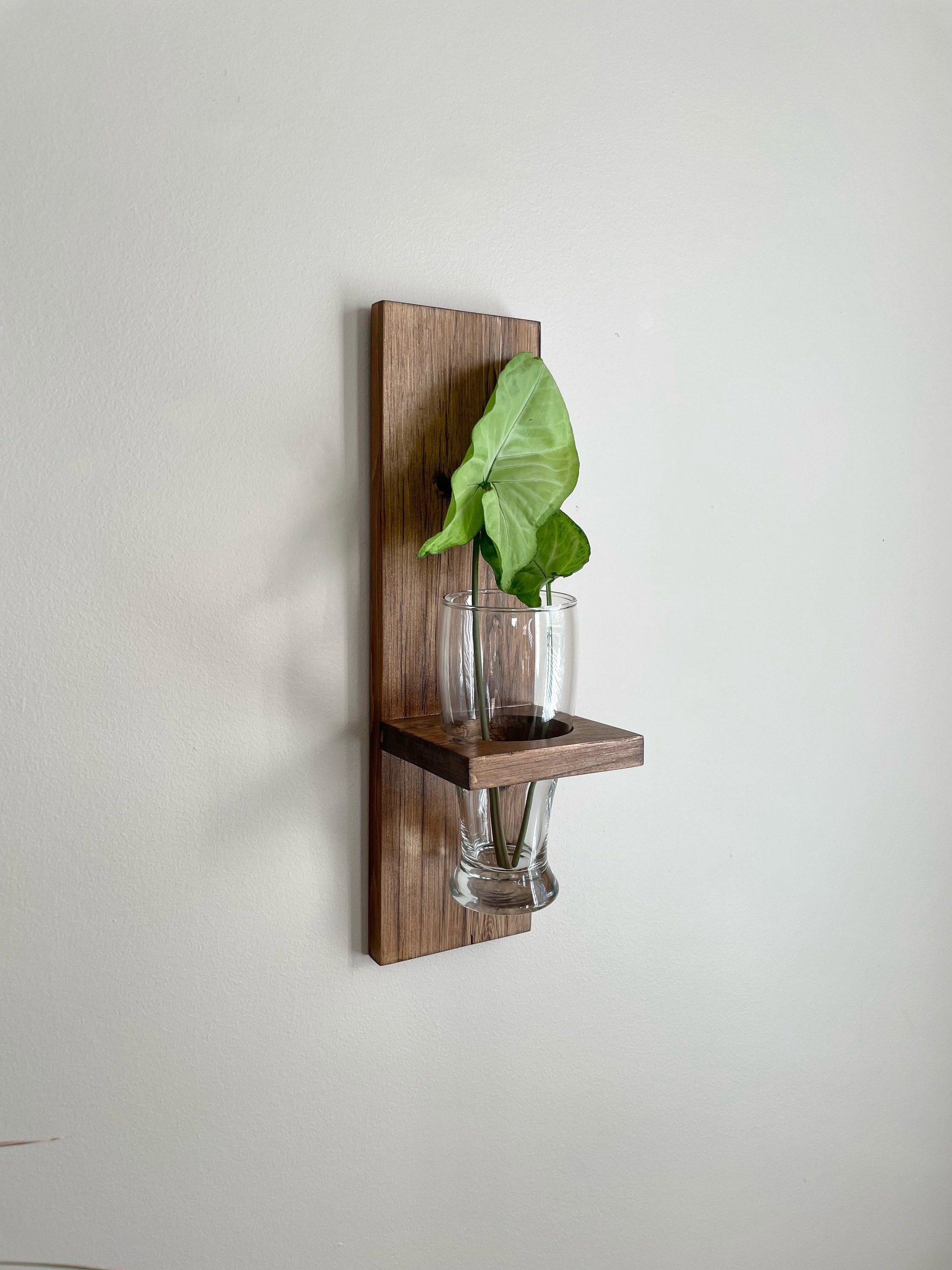 Wall Glass Flower Holder Etsy