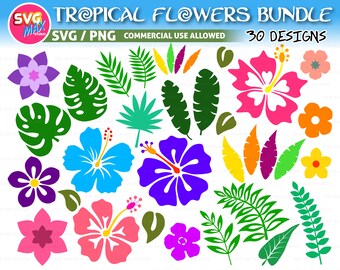 Download Tropical Flower Svg Etsy