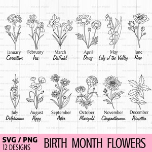 Mês de nascimento flor svg, aniversário flor svg, Wildflower svg, Flower Botanical Clipart, Field plants svg, Hand drawn flowers svg