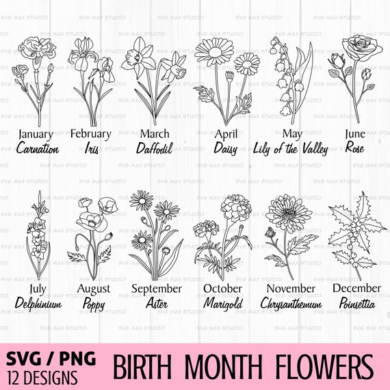 Birth month flower svg, birthday flower svg, Wildflower svg, Flower Botanical Clipart, Field plants svg, Hand drawn flowers svg