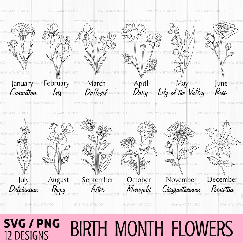 Birth month flower svg, birthday flower svg, Wildflower svg, Flower Botanical Clipart, Field plants svg, Hand drawn flowers svg image 1
