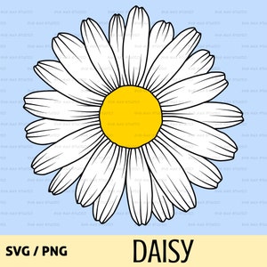Daisy svg, png, wildflower svg, daisy clipart, spring svg, flower svg, floral svg, summer svg, plant, farmhouse, cut file for cricut