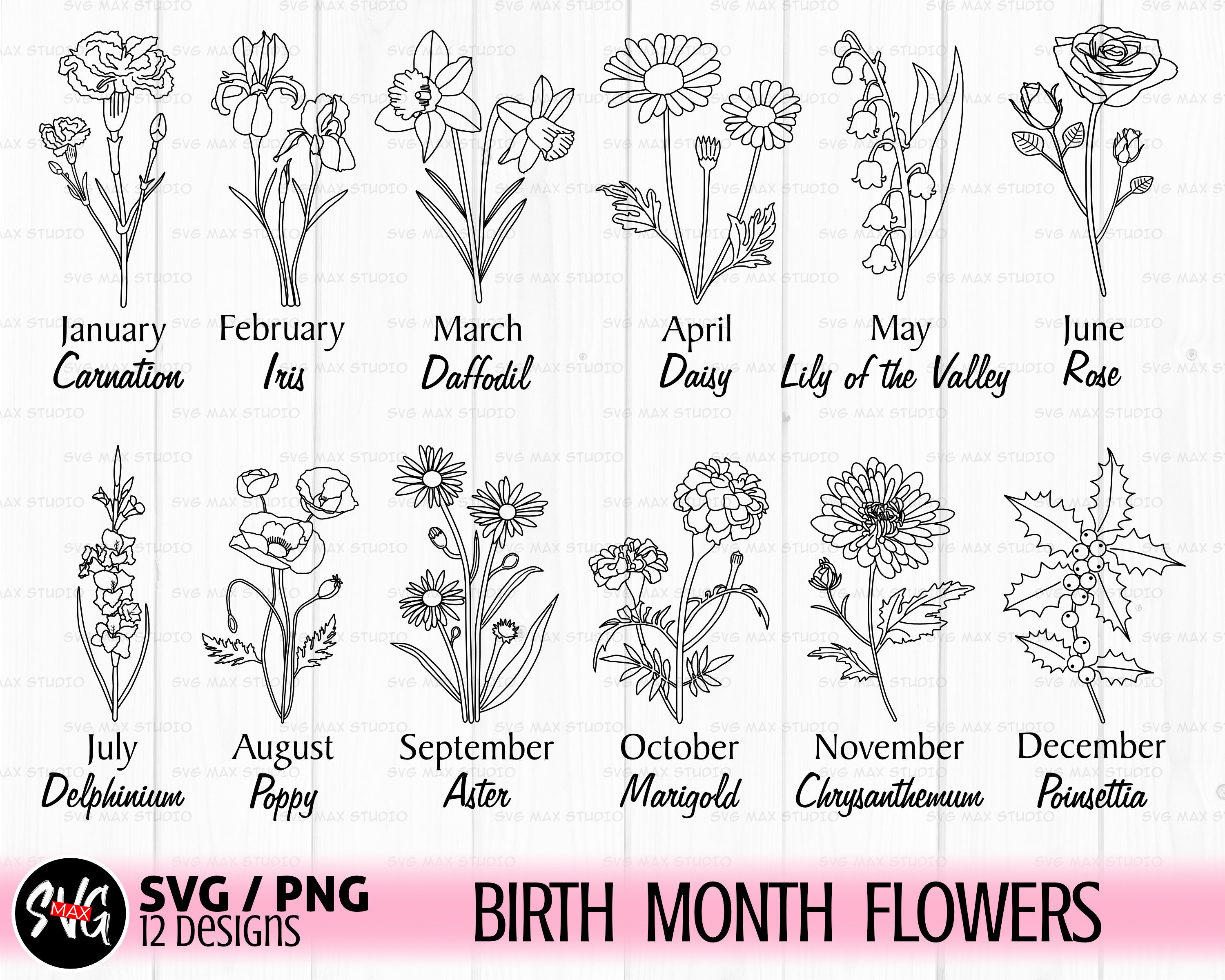 Birth Month Flower Svg Birthday Flower Svg Wildflower Svg Etsy