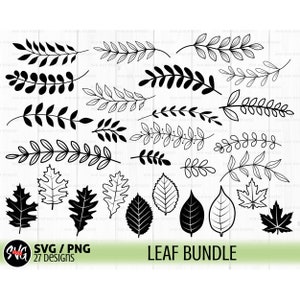 paquete de hojas svg, divisor de hojas svg, rama svg, hojas de otoño svg, borde decorativo svg, borde floral svg, divisor de texto svg
