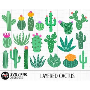 Lot de cactus svg, svg succulent, désert svg, clipart cactus, bébé cactus, cactus imprimable, svg botanique, svg plante d'intérieur