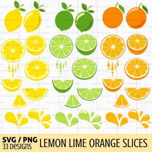 Lemon svg, png, lime svg, orange svg, lemonade svg, fruit svg, Summer svg, splash svg, citrus fruit svg bundle