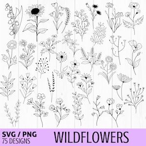 Wildflower svg bundle, floral svg, flower svg, Botanical Clipart, field plants svg, nature svg, hand drawn flowers svg