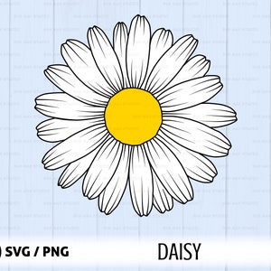 Daisy svg png wildflower svg daisy clipart spring svg | Etsy
