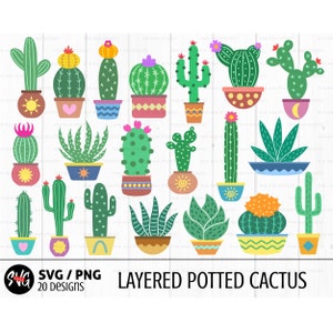 Paquete de svg de cactus, svg de suculentas, svg de desierto, clipart de cactus, cactus bebé, cactus imprimible, svg botánico, svg de planta de interior