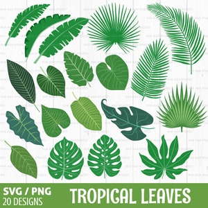 Blätter SVG Bundle, tropisches Blatt svg, Monstera svg, Bananenblatt svg, Palmenblatt svg, Farn svg, Schneidedatei für Cricut und Silhouette