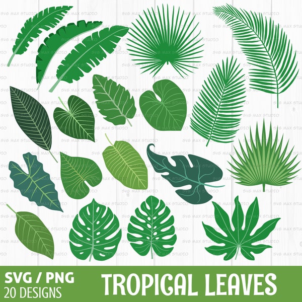 leaves svg bundle, tropical leaf svg, monstera svg, banana leaf svg, palm leaf svg, fern svg, cut file for cricut and silhouette