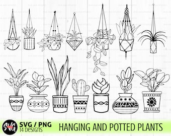 Hanging plants svg bundle, gardening svg, succulent svg, hanging planter svg, Botanical svg, Spring svg, house plant svg, potted plant svg