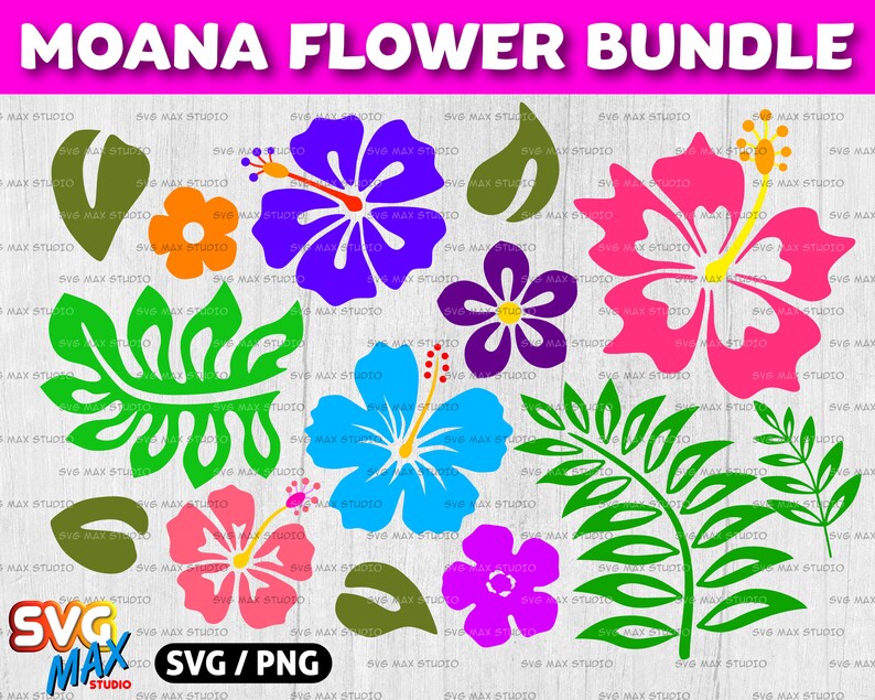 Download Moana svg bundle Hibiscus flower svg Cut file for cricut and | Etsy