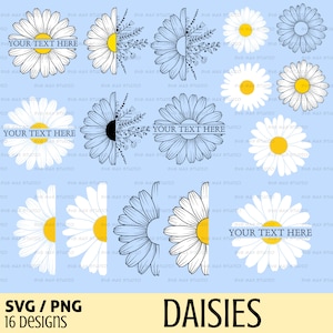 Svg Marguerite, fleurs sauvages, clipart Marguerite