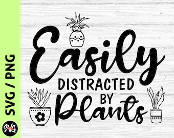 Plant lady svg, png, plant mom svg, plant lover svg, gardening svg, succulent svg, cactus svg, crazy plant lady svg, funny plant shirt svg