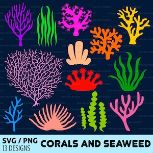 Koraal svg bundel, zeewier svg, png, zeeleven svg, onder de zee svg, Oceaan svg, digitale download, gesneden bestand voor cricut en silhouette