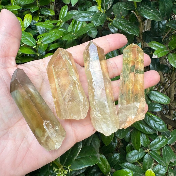 Raw Citrine Points - Citrine Rough Not Heat Treated - Natural Citrine Healing Stone - Citrine Healing Crystal