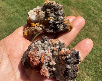 May include: Two rough mineral specimens with a variety of colors. One has white, orange, and black hues, while the other features white, red, and dark brown tones. The minerals are held in a hand against a green grassy background.