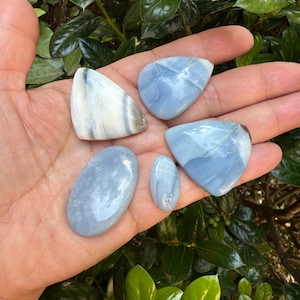 May include: Five polished gemstones in shades of blue and white are displayed in an open hand. The stones vary in shape, including oval, teardrop, and triangular forms. The background features green foliage.