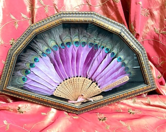 Rare! Antique framed peacock feathers fan with pierced sandalwood stickers