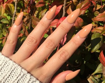 Light Beige Nude Press On Nails | Gel nails | Fake nails set | Coffin Almond Stiletto nails | Set of 20 nails | Reusable nails