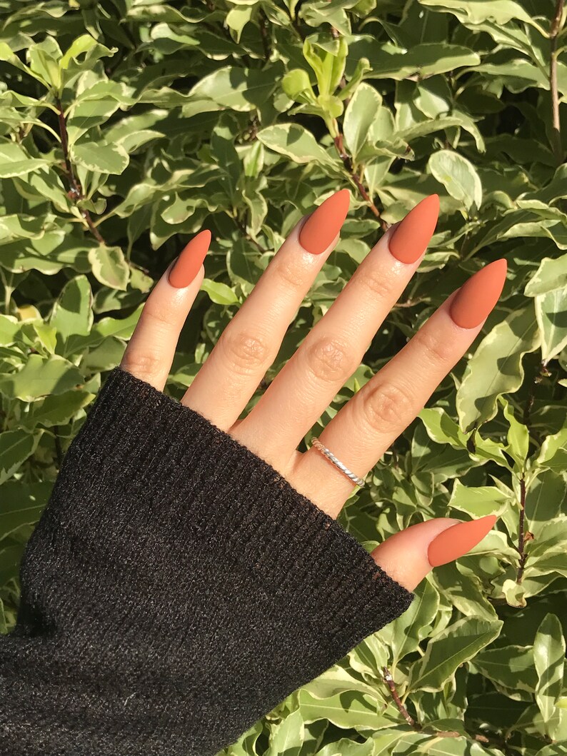 Burnt Orange Press On Nails Dark Pumpkin nails Gel nails Fake nails set Coffin Almond Stiletto nails Set of 20 nails imagem 2