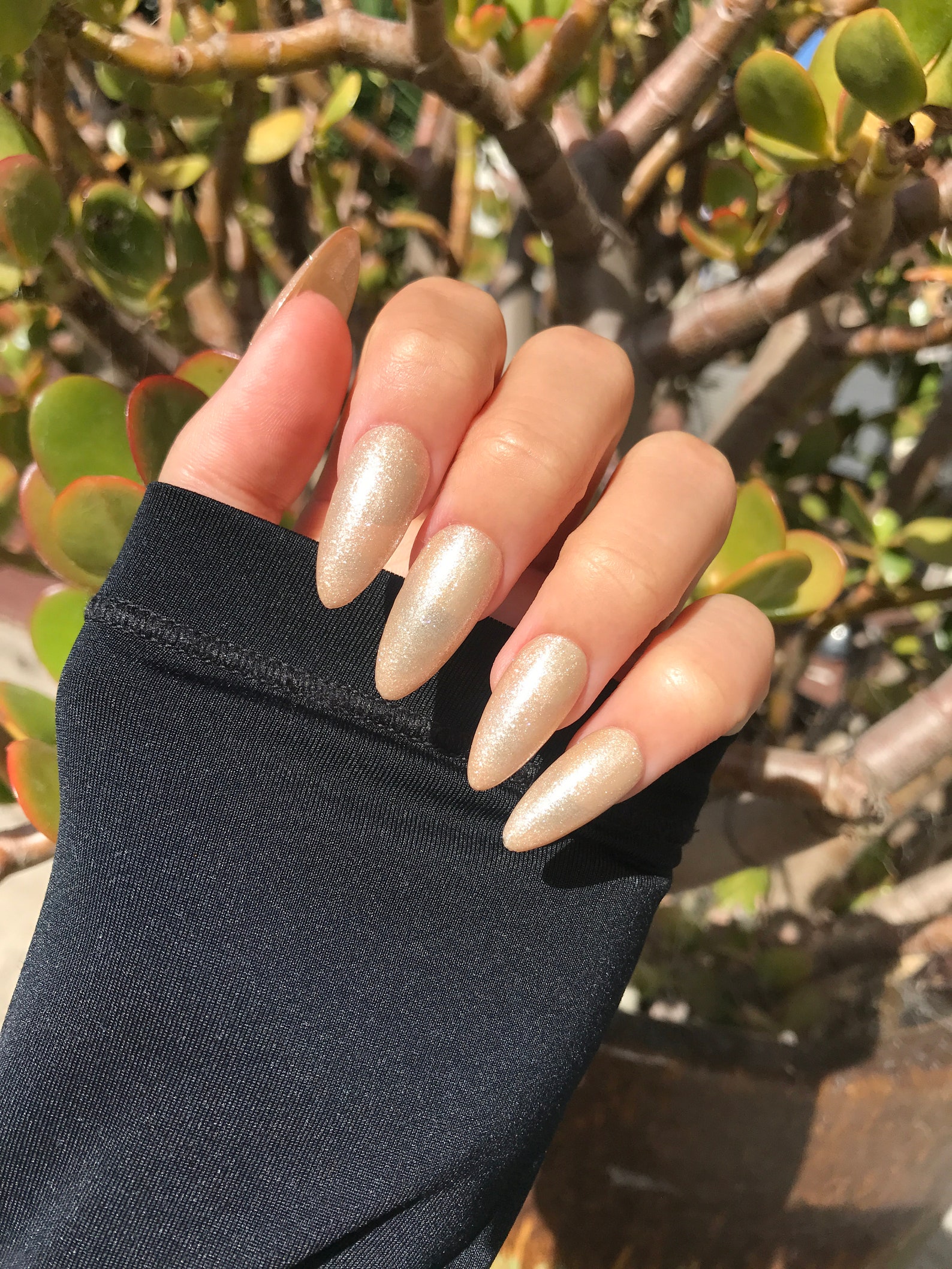 snappy nails golden snappy nails golden