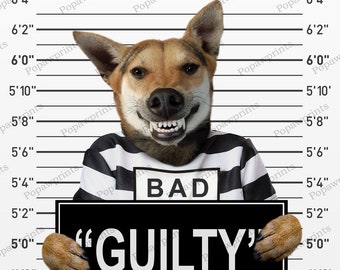 Custom Pet Mugshot - Custom Pet Portrait - Dog Mugshot - Cat Mugshot - Dog Portrait - Pet Customization - Funny Pet Portrait - FV2