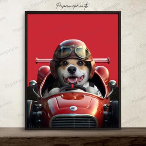 May include: A corgi dog wearing a brown leather aviator helmet and goggles is driving a red toy race car. The dog is smiling and has its tongue sticking out. The background is a solid red.