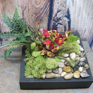Modern/Rustic Moss Arrangement, Orchid Centerpiece, Modern Floral Arrangement, Preserved Moss Centerpiece, Home and Office Decor
