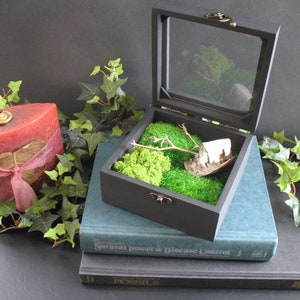Moss Centerpiece, Stabilized Preserved Moss, Moss Table Arrangement, Black Lidded Box Centerpiece
