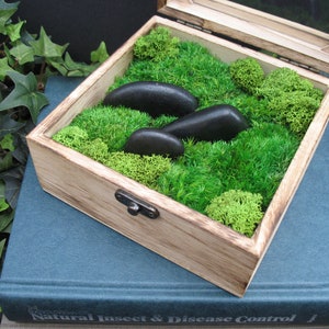 Moss Centerpiece, Stabilized Preserved Moss, Balsa Wood Lidded Box
