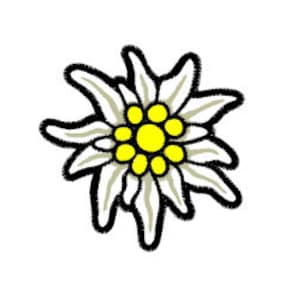 Puede incluir: Una flor de edelweiss blanca con un centro amarillo. La flor tiene cinco pétalos y está rodeada por un contorno negro.