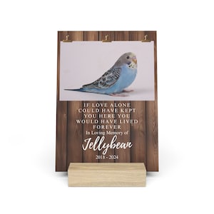 Regalo commemorativo personalizzato per uccelli domestici, cartello commemorativo per animali domestici, regalo commemorativo per animali domestici, regalo per la perdita di un animale domestico, memoriale personalizzato per uccelli, memoriale personalizzato per animali domestici