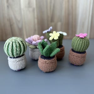 Patrón de tejido Cactus: descarga instantánea del patrón en PDF - Inglés, Coreano
