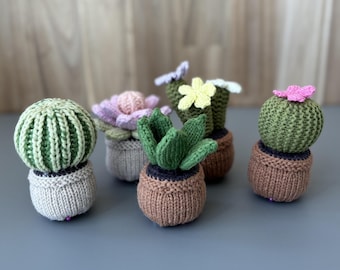 Puede incluir: Cinco plantas de cactus de punto en macetas. Los cactus son verdes y tienen diferentes formas y texturas. Las macetas son marrones, beige y grises.