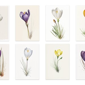 Cartes de correspondance de Pâques botaniques printanières florales avec crocus Cartes de Pâques Cartes de correspondance de printemps Cartes de correspondance botaniques vintage