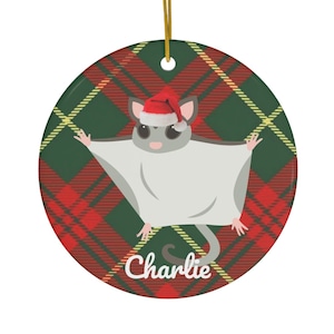Sugar Glider Ornament | Sugar Glider Geschenke | Sugar Glider Mama | Kundenspezifische Sugar Glider Weihnachtsbaum Dekoration | Zuckersegelflugzeug Dad Urlaub
